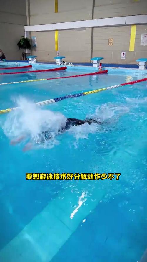 蝶泳,蝶泳的教学视频慢动作