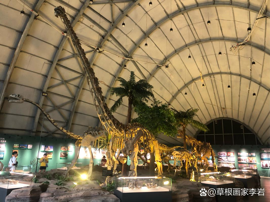 深圳古生物博物馆,深圳古生物博物馆开放了吗