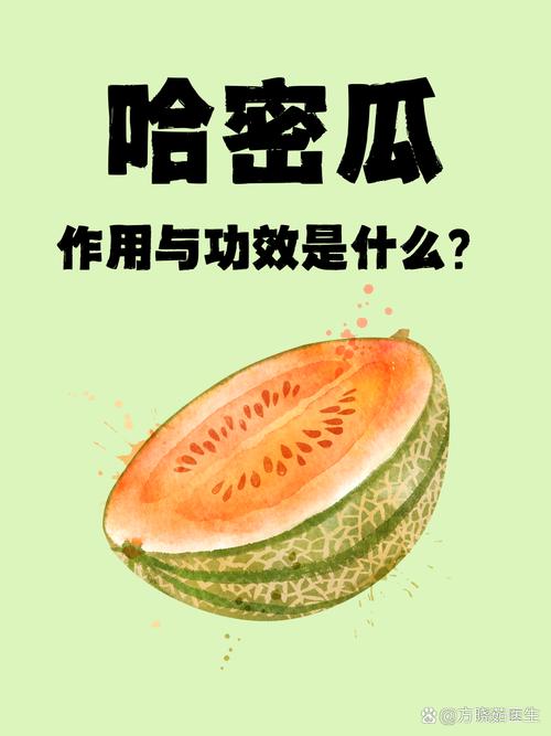 详细阅读:哈密瓜,哈密瓜的作用与功效 哈密瓜,哈密瓜的作用与功效