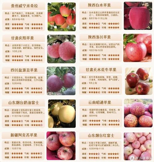 水果产地,水果产地大全表