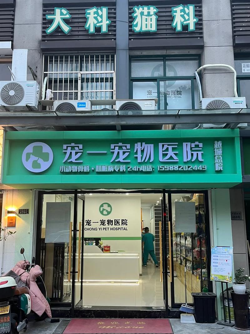 宠物医院推荐,成都宠物医院推荐
