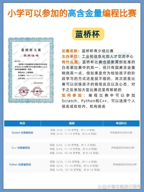 编程竞赛,编程竞赛含金量