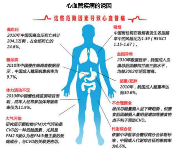 详细阅读:心血管疾病,心血管疾病包括哪些疾病 心血管疾病,心血管疾病包括哪些疾病