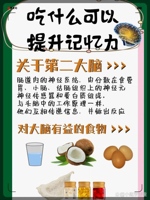 提高记忆力养生,提高记忆力养生方法