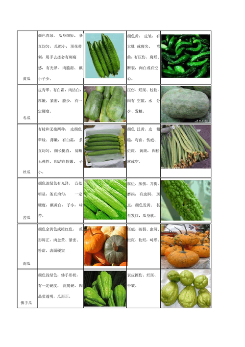 详细阅读:蔬菜,蔬菜品种大全 蔬菜,蔬菜品种大全