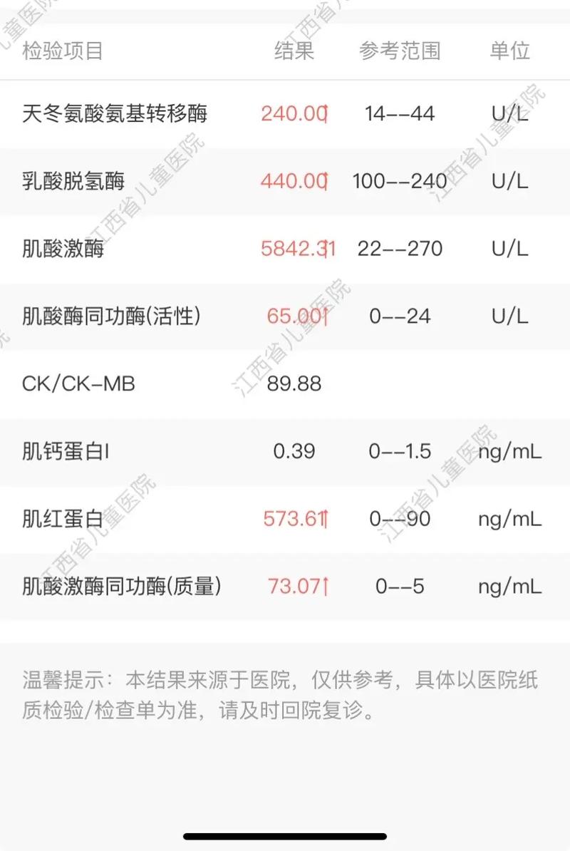 肌酸,肌酸激酶偏高说明什么