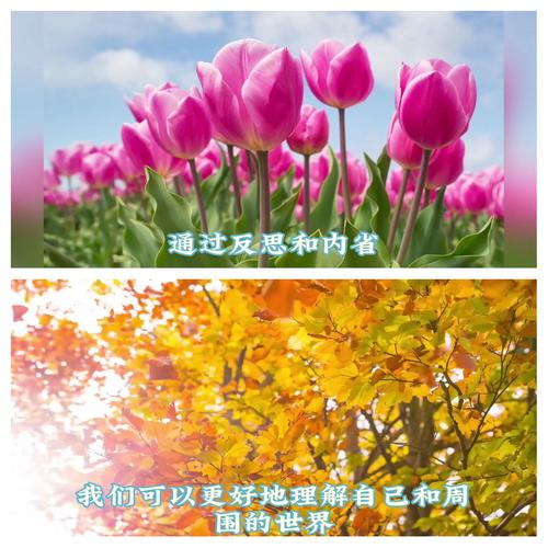 快乐不是因为拥有的多,快乐不是因为拥有的多而是计较的少是什么意思