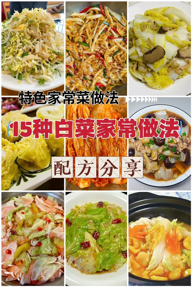 详细阅读:白菜,白菜的功效与作用 白菜,白菜的功效与作用