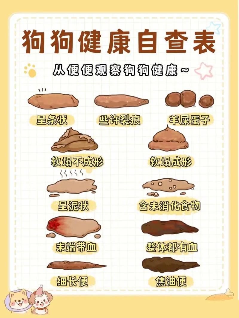 腹泻的原因及治疗,腹泻的原因及治疗方法