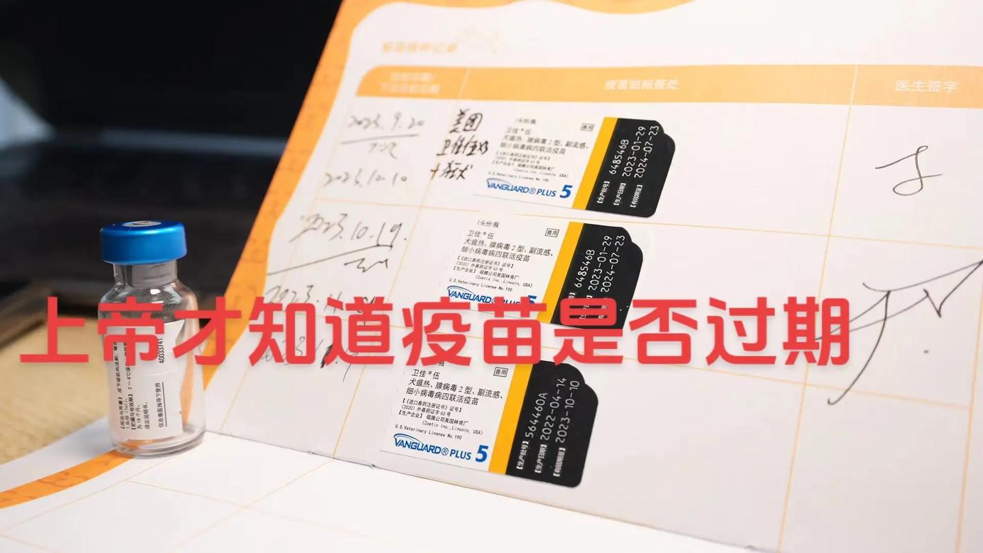 宠物疫苗可靠,宠物疫苗可靠吗安全吗
