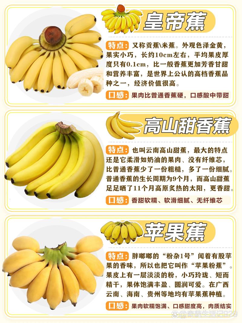 香蕉,香蕉的功效与作用
