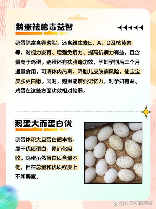鹅蛋,鹅蛋的功效与作用及营养