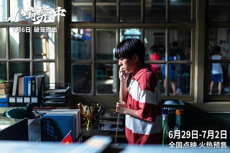 八角,八角笼中