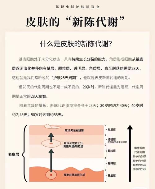 精准护肤的概念与实施,精准护肤的概念与实施方法