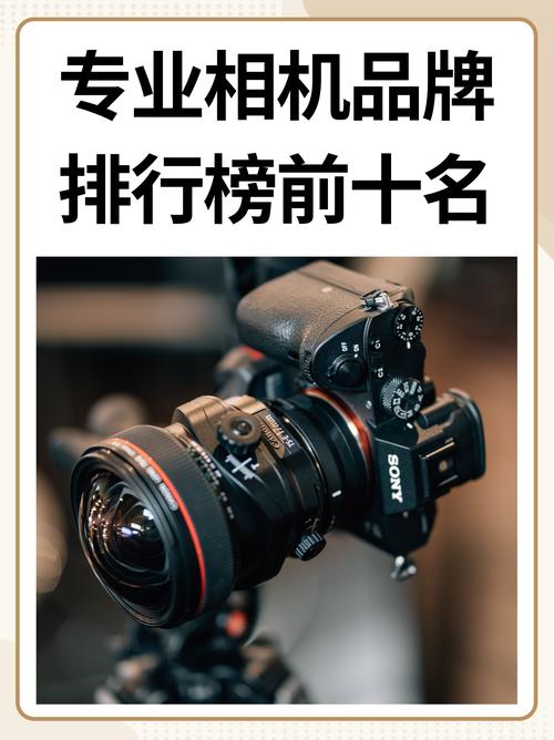 相机,相机品牌排行榜前十名