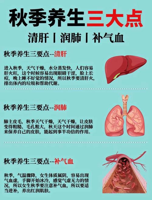 详细阅读:运动养生原则,运动养生原则有哪些? 运动养生原则,运动养生原则有哪些?