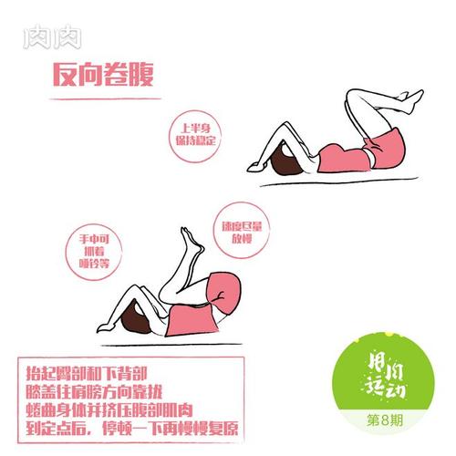 详细阅读:卷腹,卷腹的正确做法 卷腹,卷腹的正确做法
