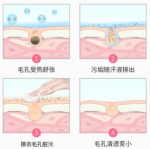 蒸脸器的正确使用方法,蒸脸器的正确使用方法及注意事项