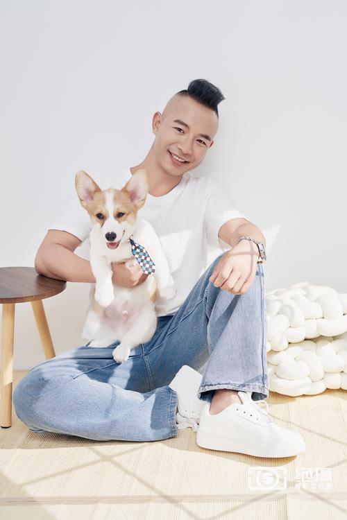 美容护肤与宠物陪伴,美容护肤与宠物陪伴的区别